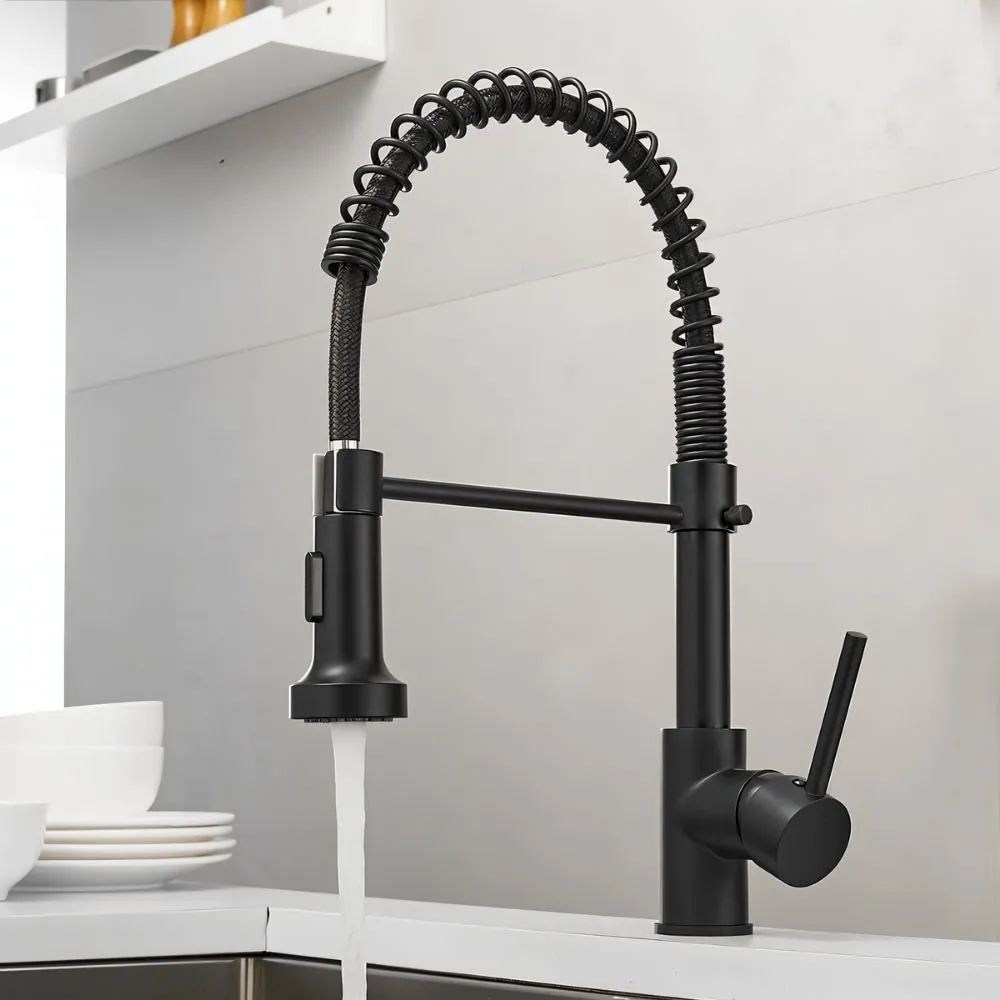 Pravah Kitchen Faucet